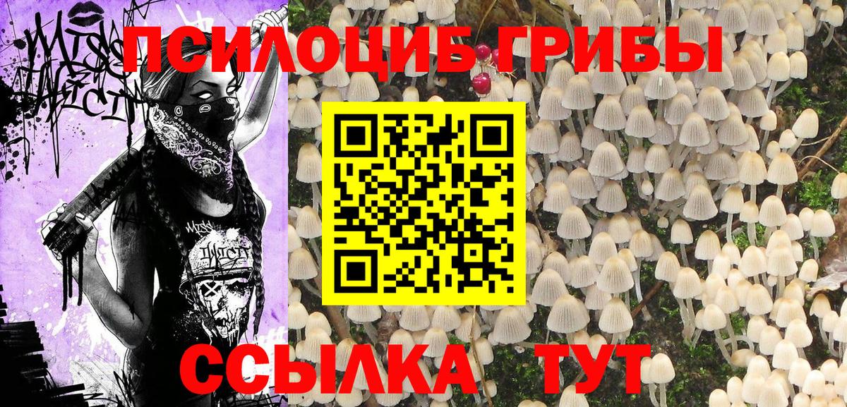 Псилоцибиновые грибы Cubensis  Галлюциногенные грибы MAGIC MUSHROOMS  Кемерово  Вход с VPN 