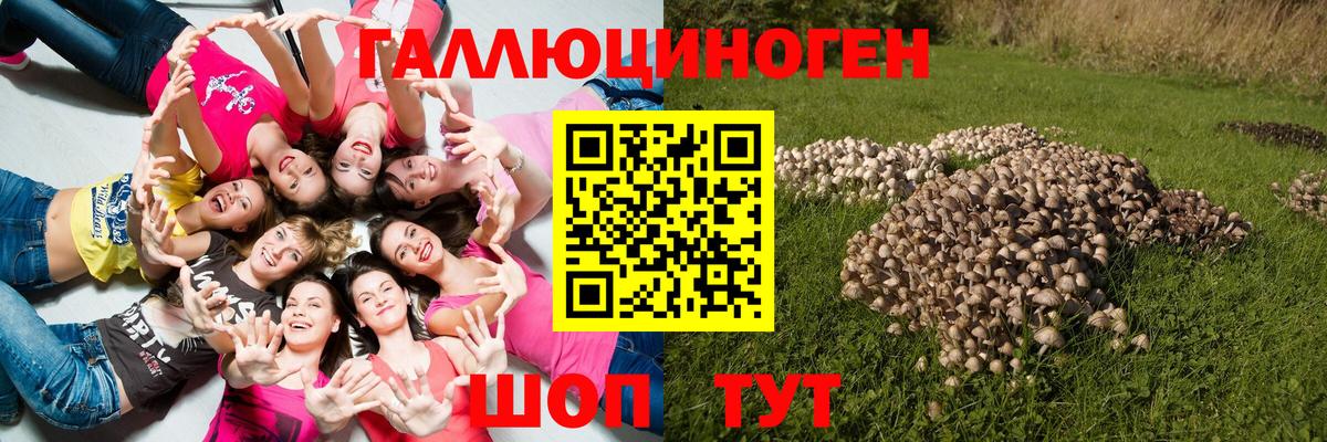 Галлюциногенные грибы ЛСД Кемерово